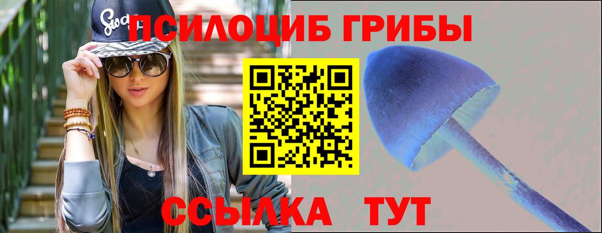 Горячий Ключ  Галлюциногенные грибы Psilocybe  Вход с VPN  Псилоцибиновые грибы Psilocybine cubensis 