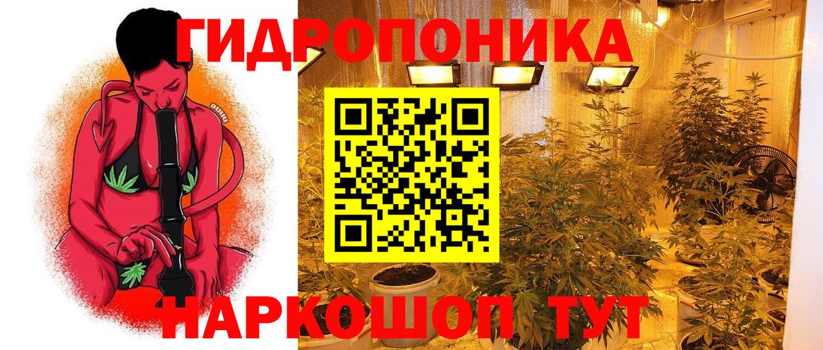 Канабис VHQ Горячий Ключ